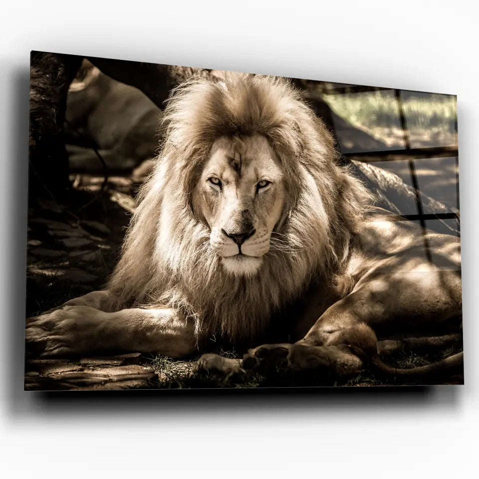 Tableau Décoratif - Lion de l'Atlas Toile Unique.fr