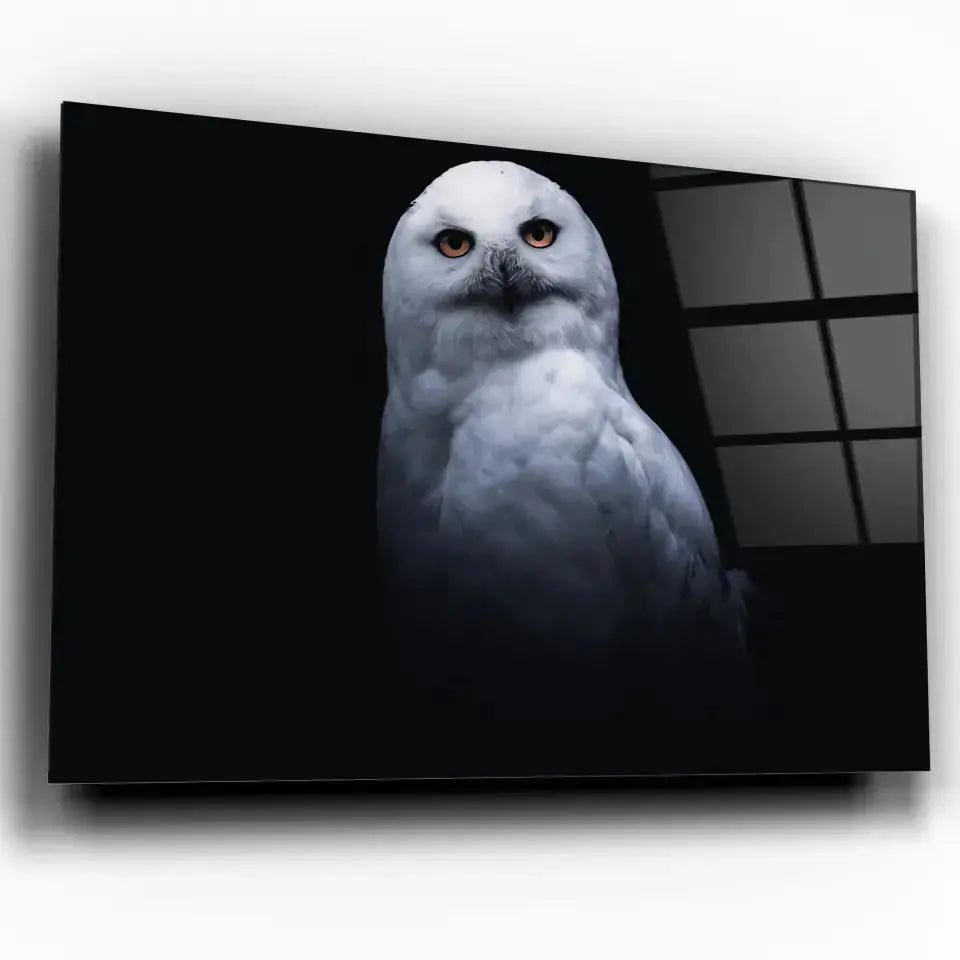 Tableau Décoratif Chouette Blanche en verre acrylique, vue inclinée sur fond blanc