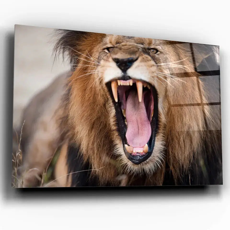 Tableau Décoratif Lion Rugissant en verre acrylique, vue inclinée sur fond blanc