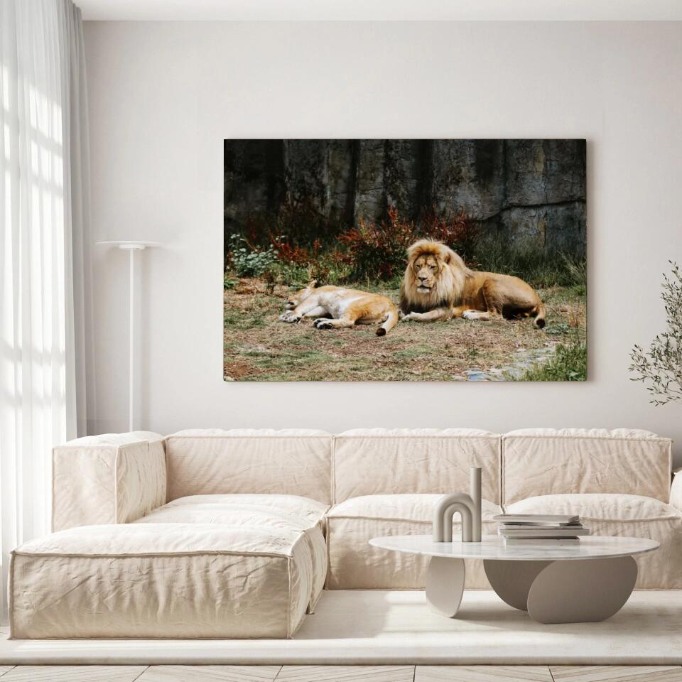Tableau Décoratif - Lions couchés Toile Unique.fr