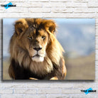 Tableau Décoratif - Lion d'Afrique Toile Unique.fr