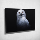 Tableau Décoratif - Chouette Blanche Toile Unique.fr