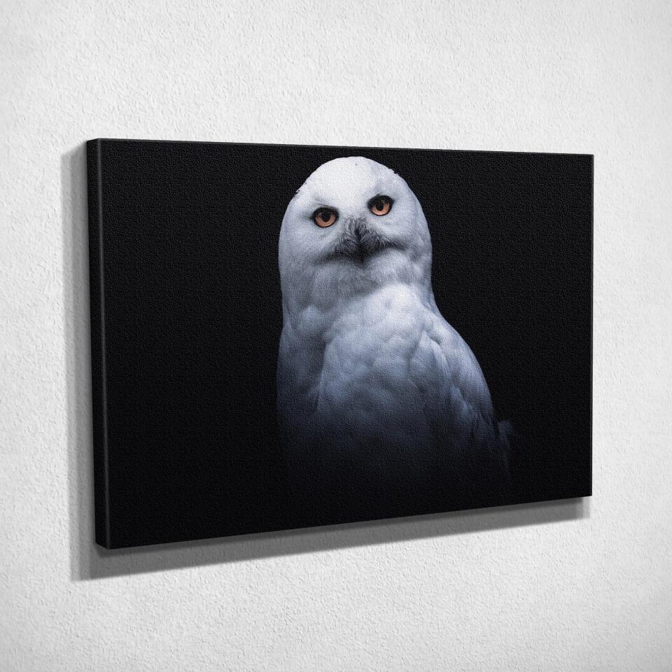 Tableau Décoratif - Chouette Blanche Toile Unique.fr