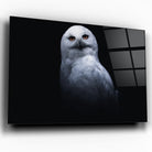 Tableau Décoratif - Chouette Blanche Toile Unique.fr
