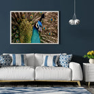 Tableau Décoratif - Paon Vue de Face Toile Unique.fr