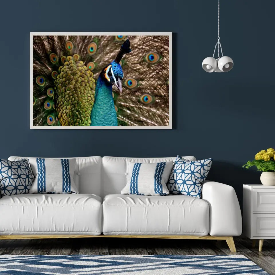 Tableau Décoratif - Paon Vue de Face Toile Unique.fr