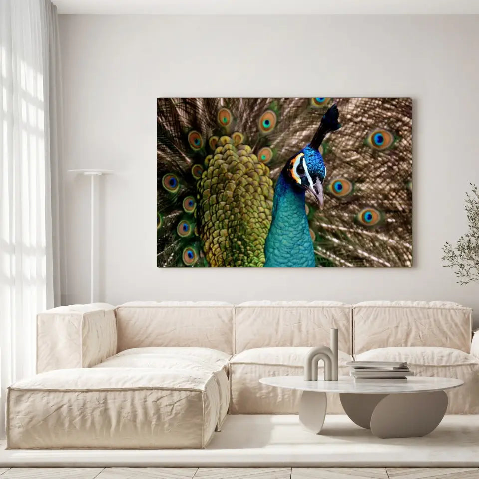 Tableau Décoratif - Paon Vue de Face Toile Unique.fr