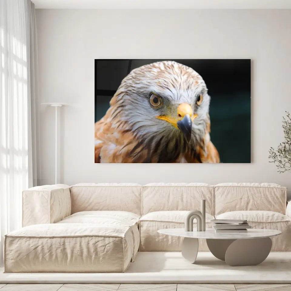 Tableau Décoratif - Aigle Toile Unique.fr