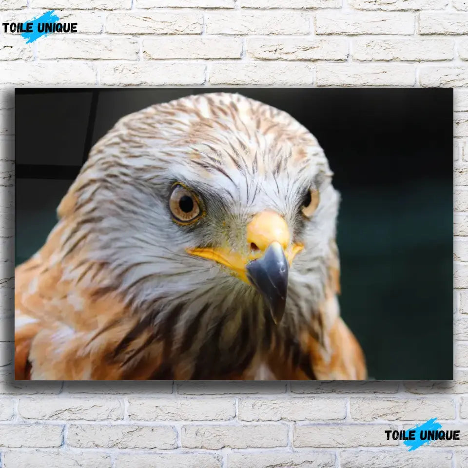 Tableau Décoratif - Aigle Toile Unique.fr