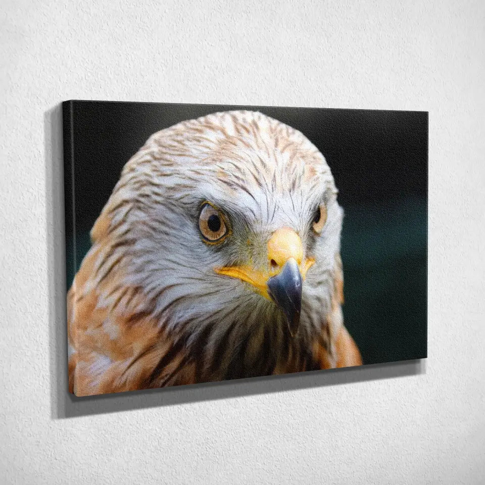 Tableau Décoratif - Aigle Toile Unique.fr