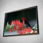 Tableau Décoratif - Oiseau Myzomela Toile Unique.fr