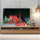 Tableau Décoratif - Oiseau Myzomela Toile Unique.fr