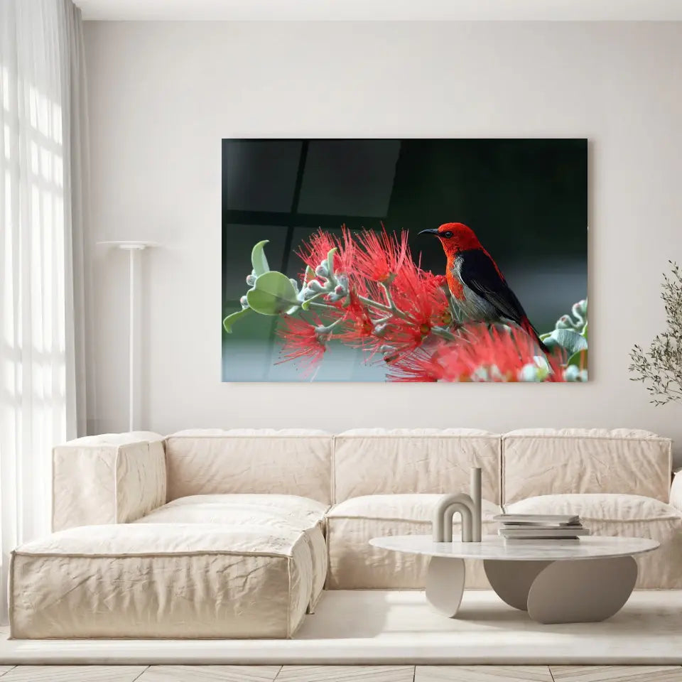 Tableau Décoratif - Oiseau Myzomela Toile Unique.fr