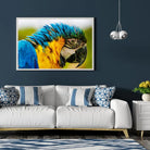 Tableau Décoratif - Perroquet Coloré Toile Unique.fr