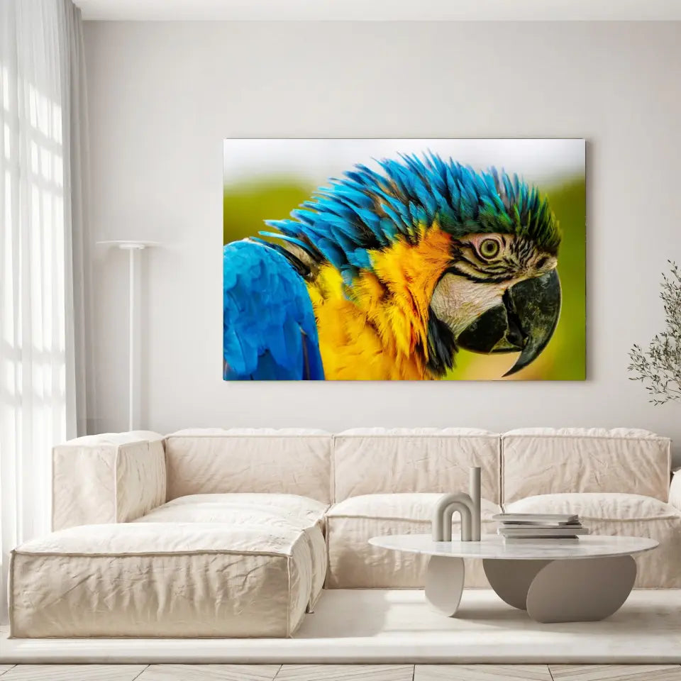 Tableau Décoratif - Perroquet Coloré Toile Unique.fr