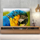 Tableau Décoratif - Perroquet Coloré Toile Unique.fr