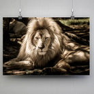 Tableau Décoratif - Lion de l'Atlas Toile Unique.fr