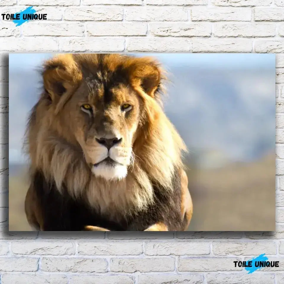 Tableau Décoratif - Lion d'Afrique - Toile Unique
