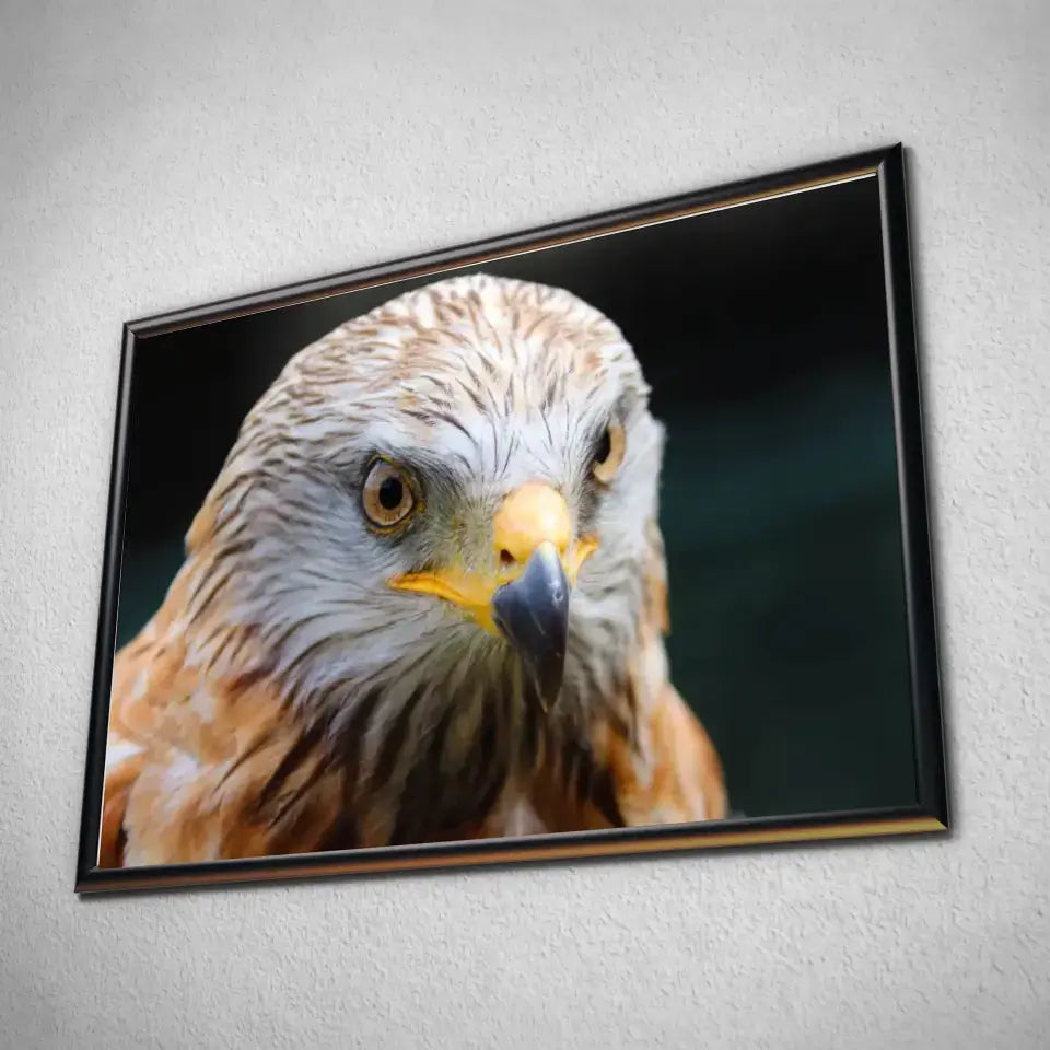 Tableau Décoratif Aigle en affiche dans un cadre noir, vue inclinée sur un mur gris