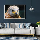 Tableau Décoratif Aigle en affiche encadrée dans un salon bleu nuit au-dessus d'un canapé blanc