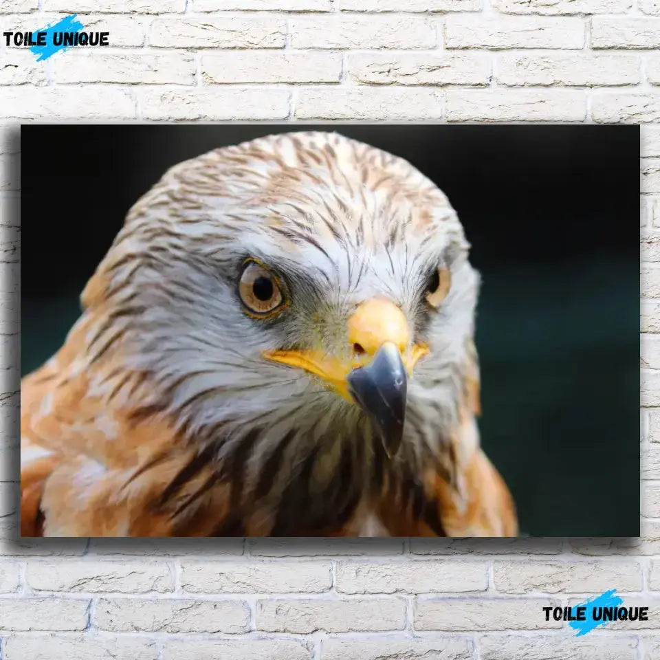 Tableau Décoratif Aigle en affiche, vue de face sur un mur de briques blanches