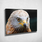 Tableau Décoratif Aigle sur toile, vue inclinée montrant l'épaisseur du châssis