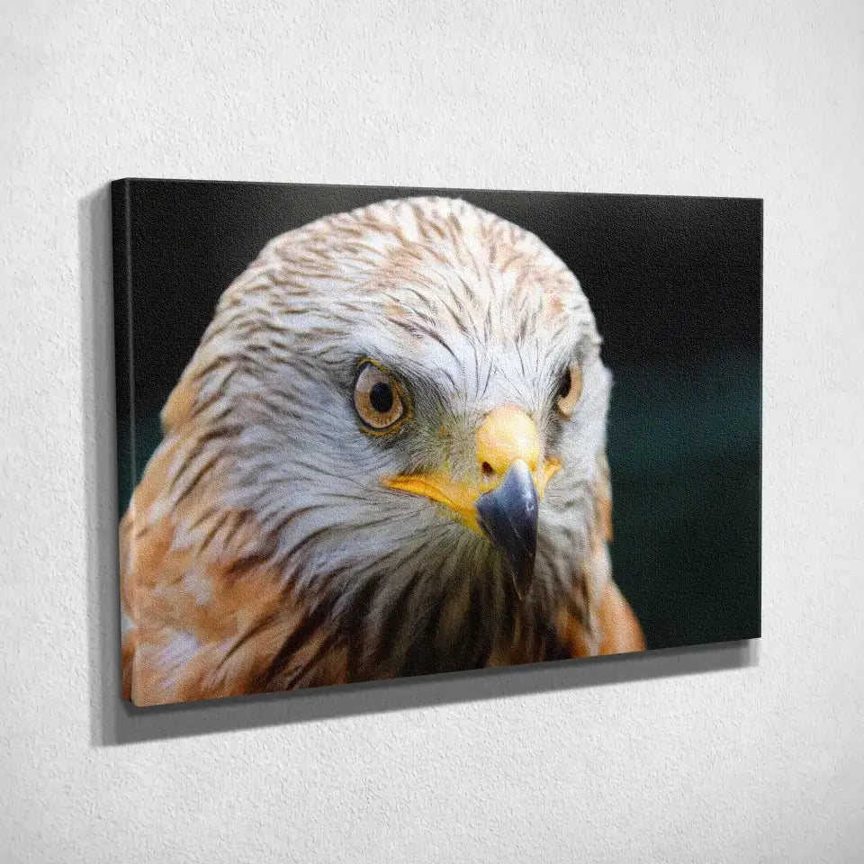 Tableau Décoratif Aigle sur toile, vue inclinée montrant l'épaisseur du châssis