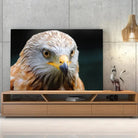 Tableau Décoratif Aigle sur toile, posée sur un meuble TV en bois devant un mur en béton