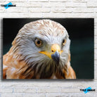 Tableau Décoratif Aigle sur toile, vue de face sur un mur de briques blanches