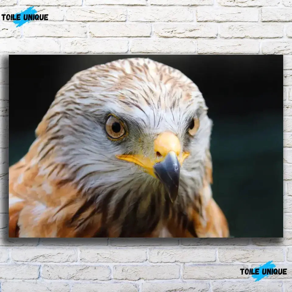 Tableau Décoratif Aigle sur toile, vue de face sur un mur de briques blanches