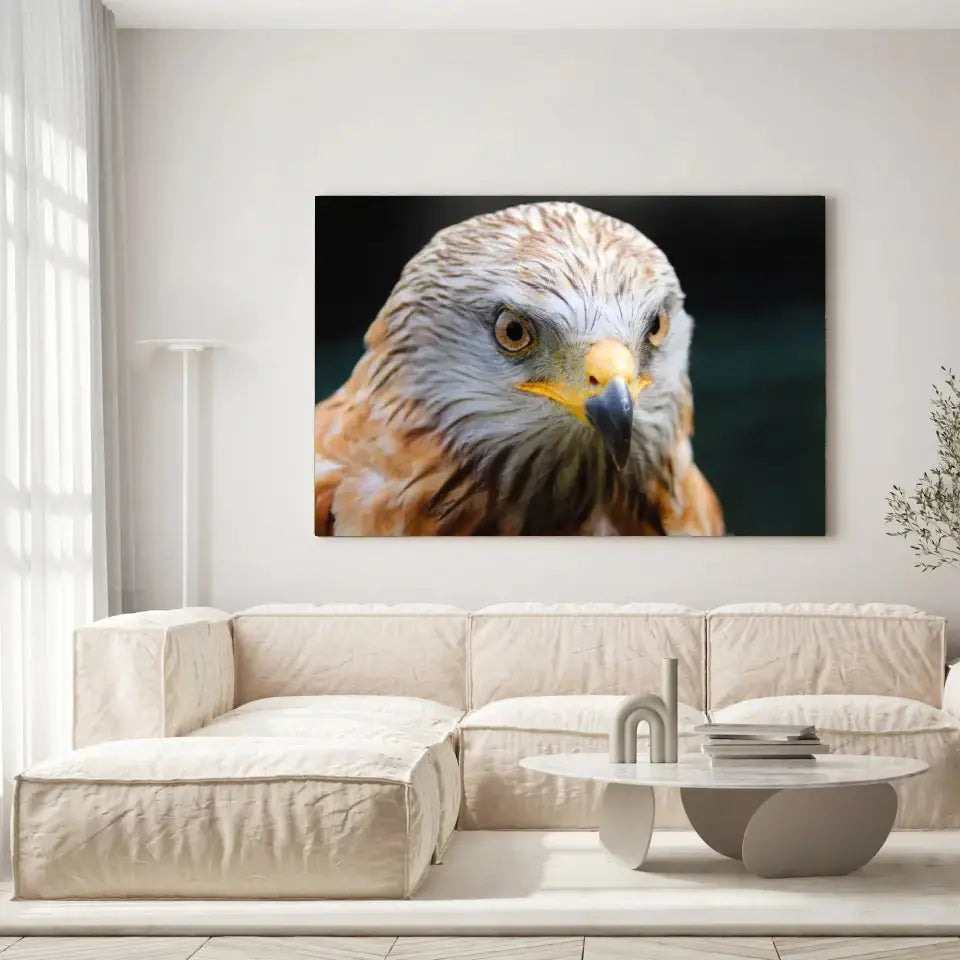 Tableau Décoratif Aigle sur toile, accrochée dans un salon lumineux au-dessus d'un canapé beige