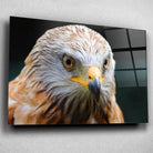 Tableau Décoratif Aigle en verre acrylique, vue inclinée sur un mur gris clair