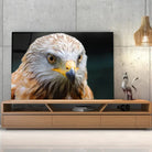 Tableau Décoratif Aigle en verre acrylique, posé sur un meuble TV en bois devant un mur en béton