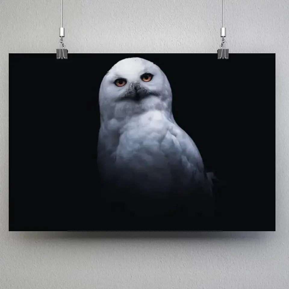 Tableau Décoratif Chouette Blanche en affiche suspendue par des pinces sur un mur gris