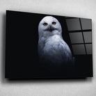 Tableau Décoratif Chouette Blanche en verre acrylique, vue inclinée sur un mur gris clair