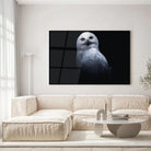 Tableau Décoratif Chouette Blanche en verre acrylique, accroché dans un salon lumineux au-dessus d'un canapé beige