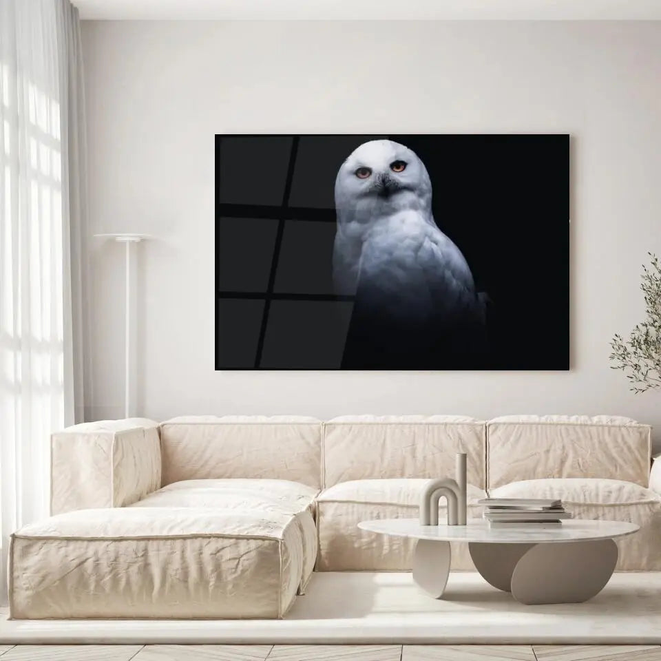 Tableau Décoratif Chouette Blanche en verre acrylique, accroché dans un salon lumineux au-dessus d'un canapé beige