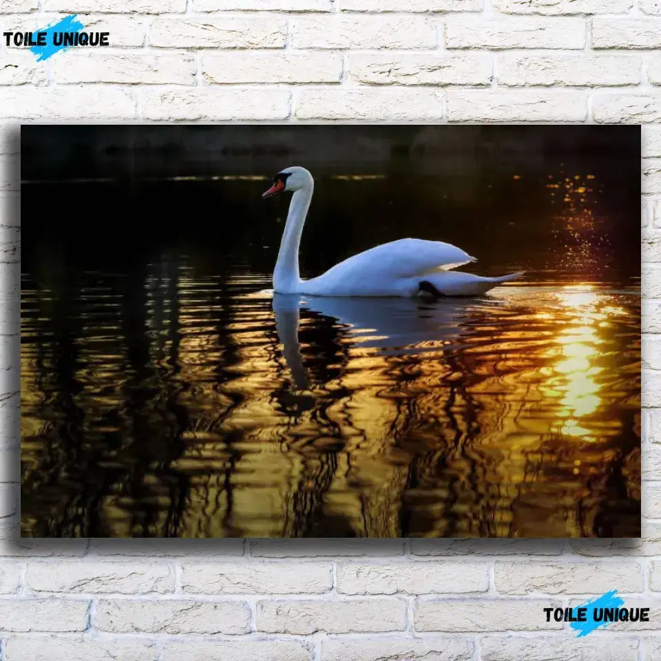 Tableau Décoratif Cygne en affiche, vue de face sur un mur de briques blanches