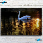 Tableau Décoratif Cygne sur toile, vue de face sur un mur de briques blanches