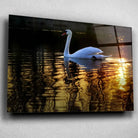 Tableau Décoratif Cygne en verre acrylique, vue inclinée sur un mur gris clair