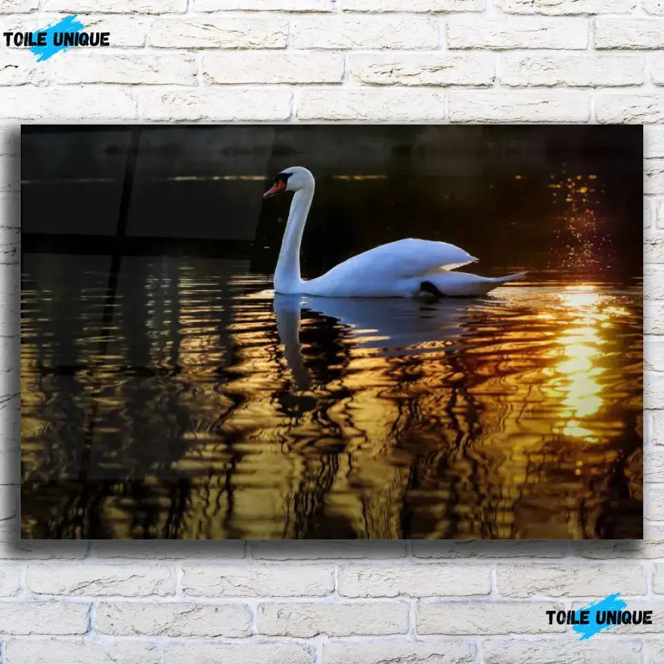 Tableau Décoratif Cygne en verre acrylique, vue de face sur un mur de briques blanches