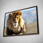 Tableau Décoratif Lion d'Afrique en affiche dans un cadre noir, vue inclinée sur un mur gris