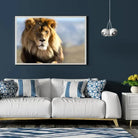 Tableau Décoratif Lion d'Afrique en affiche encadrée dans un salon bleu nuit au-dessus d'un canapé blanc