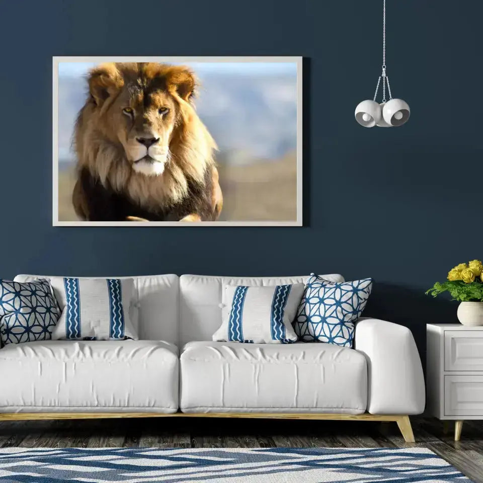 Tableau Décoratif Lion d'Afrique en affiche encadrée dans un salon bleu nuit au-dessus d'un canapé blanc
