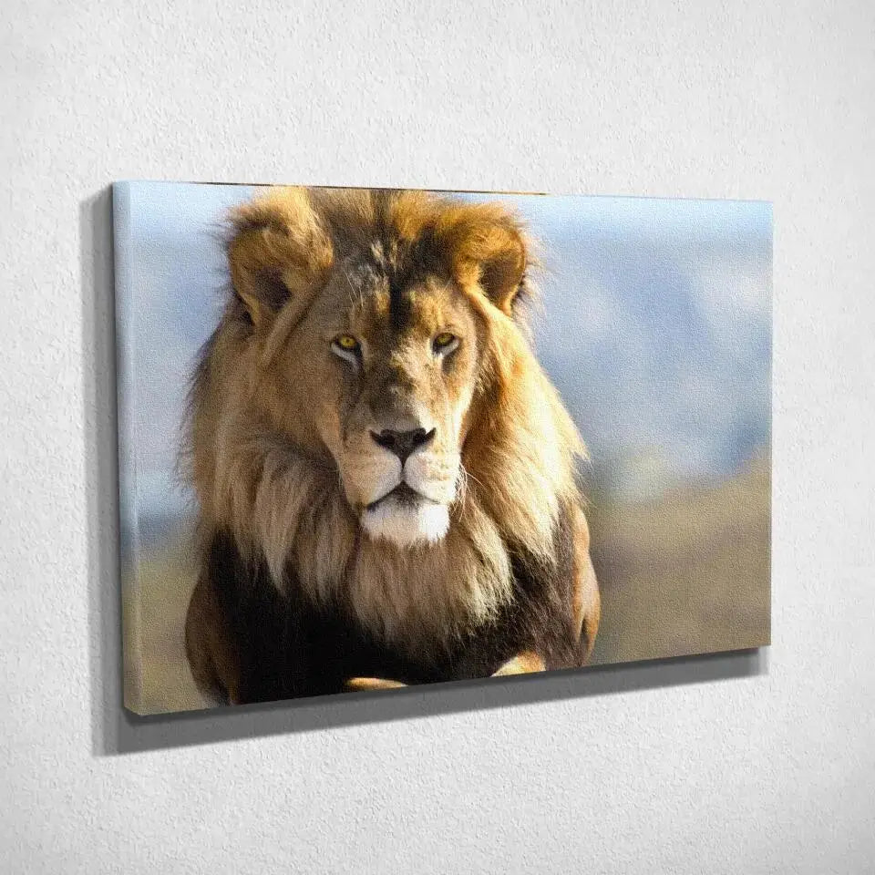 Tableau Décoratif Lion d'Afrique sur toile, vue inclinée montrant l'épaisseur du châssis