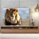 Tableau Décoratif Lion d'Afrique sur toile, posée sur un meuble TV en bois devant un mur en béton