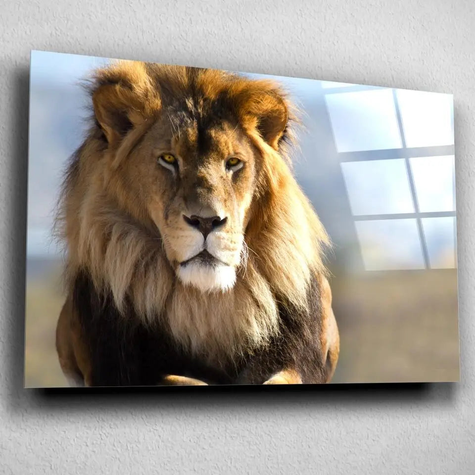 Tableau Décoratif Lion d'Afrique en verre acrylique, vue inclinée sur un mur gris clair