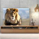 Tableau Décoratif Lion d'Afrique en verre acrylique, posé sur un meuble TV en bois devant un mur en béton