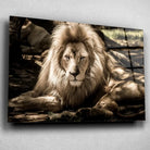 Tableau Décoratif Lion de l'Atlas en verre acrylique, vue inclinée sur un mur gris clair