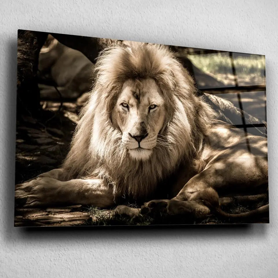 Tableau Décoratif Lion de l'Atlas en verre acrylique, vue inclinée sur un mur gris clair